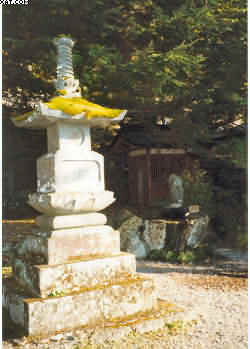 Bujinkan Budo Taijutsu martial art from Japan